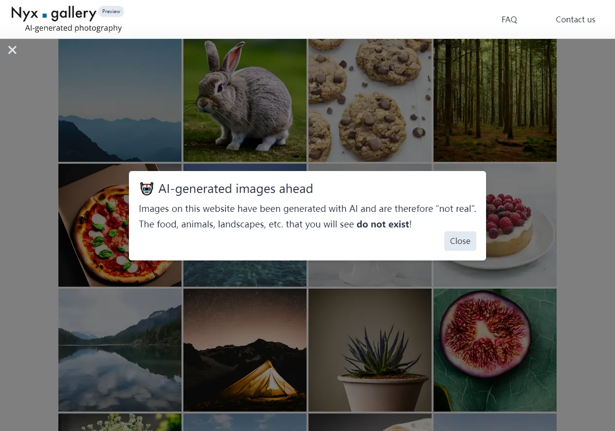 Nyx Gallery تصویر